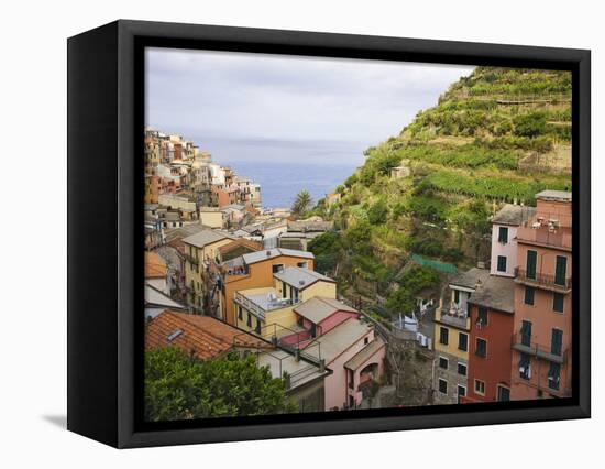 Hillside Village of Manarola, Cinque Terre, Italy-Dennis Flaherty-Framed Premier Image Canvas