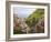 Hillside Village of Manarola, Cinque Terre, Italy-Dennis Flaherty-Framed Photographic Print