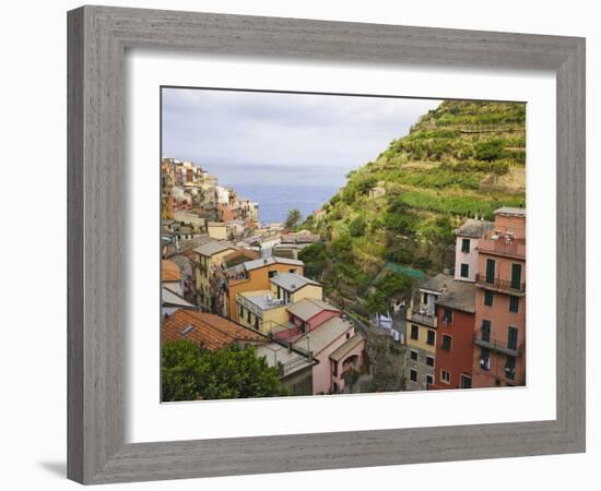 Hillside Village of Manarola, Cinque Terre, Italy-Dennis Flaherty-Framed Photographic Print