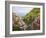 Hillside Village of Manarola, Cinque Terre, Italy-Dennis Flaherty-Framed Photographic Print