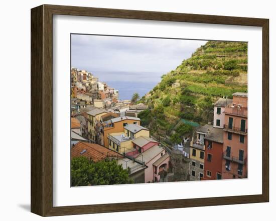 Hillside Village of Manarola, Cinque Terre, Italy-Dennis Flaherty-Framed Photographic Print