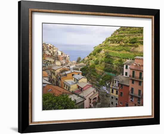 Hillside Village of Manarola, Cinque Terre, Italy-Dennis Flaherty-Framed Photographic Print