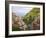 Hillside Village of Manarola, Cinque Terre, Italy-Dennis Flaherty-Framed Photographic Print