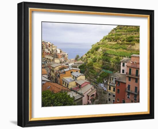 Hillside Village of Manarola, Cinque Terre, Italy-Dennis Flaherty-Framed Photographic Print