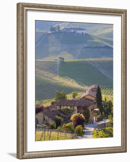 Hillsides Covered with Vineyards, Nr Castiglione Falletto, Piedmont, Italy-Peter Adams-Framed Photographic Print