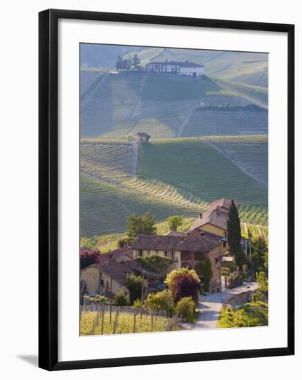 Hillsides Covered with Vineyards, Nr Castiglione Falletto, Piedmont, Italy-Peter Adams-Framed Photographic Print