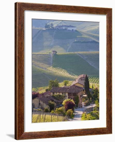 Hillsides Covered with Vineyards, Nr Castiglione Falletto, Piedmont, Italy-Peter Adams-Framed Photographic Print