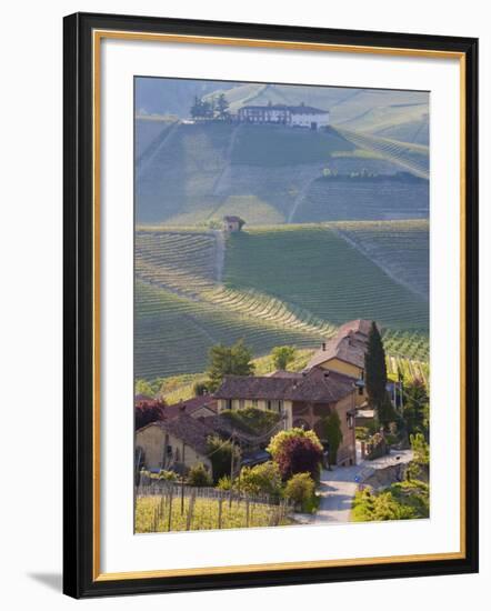 Hillsides Covered with Vineyards, Nr Castiglione Falletto, Piedmont, Italy-Peter Adams-Framed Photographic Print