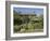 Hilltop, Sawrey, Near Ambleside, Home of Beatrix Potter, Lake District Nat'l Park, Cumbria, England-James Emmerson-Framed Photographic Print
