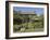 Hilltop, Sawrey, Near Ambleside, Home of Beatrix Potter, Lake District Nat'l Park, Cumbria, England-James Emmerson-Framed Photographic Print