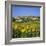 Hilltop Village Above Sunflower Field, Pals, Catalunya (Costa Brava), Spain-Stuart Black-Framed Photographic Print