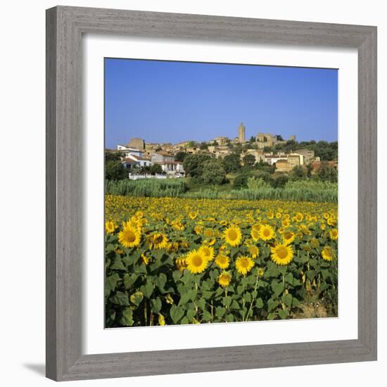 Hilltop Village Above Sunflower Field, Pals, Catalunya (Costa Brava), Spain-Stuart Black-Framed Photographic Print