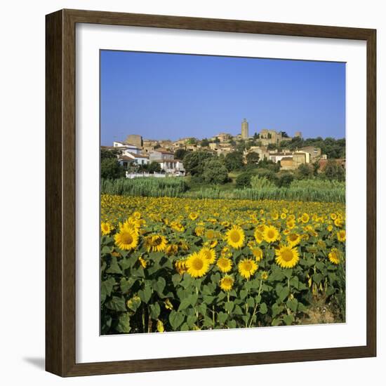 Hilltop Village Above Sunflower Field, Pals, Catalunya (Costa Brava), Spain-Stuart Black-Framed Photographic Print