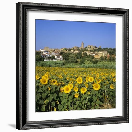 Hilltop Village Above Sunflower Field, Pals, Catalunya (Costa Brava), Spain-Stuart Black-Framed Photographic Print