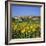 Hilltop Village Above Sunflower Field, Pals, Catalunya (Costa Brava), Spain-Stuart Black-Framed Photographic Print