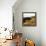 Hilltop Vista-Lance Kuehne-Framed Stretched Canvas displayed on a wall
