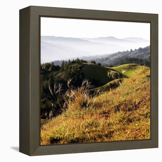 Hilltop Vista-Lance Kuehne-Framed Stretched Canvas