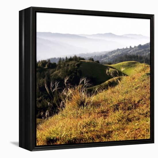 Hilltop Vista-Lance Kuehne-Framed Stretched Canvas