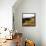 Hilltop Vista-Lance Kuehne-Framed Stretched Canvas displayed on a wall