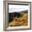 Hilltop Vista-Lance Kuehne-Framed Photographic Print