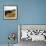 Hilltop Vista-Lance Kuehne-Framed Photographic Print displayed on a wall