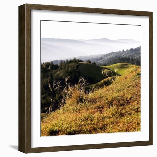 Hilltop Vista-Lance Kuehne-Framed Photographic Print