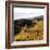 Hilltop Vista-Lance Kuehne-Framed Photographic Print