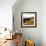 Hilltop Vista-Lance Kuehne-Framed Photographic Print displayed on a wall