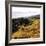 Hilltop Vista-Lance Kuehne-Framed Photographic Print