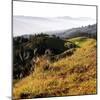 Hilltop Vista-Lance Kuehne-Mounted Photographic Print