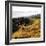 Hilltop Vista-Lance Kuehne-Framed Photographic Print