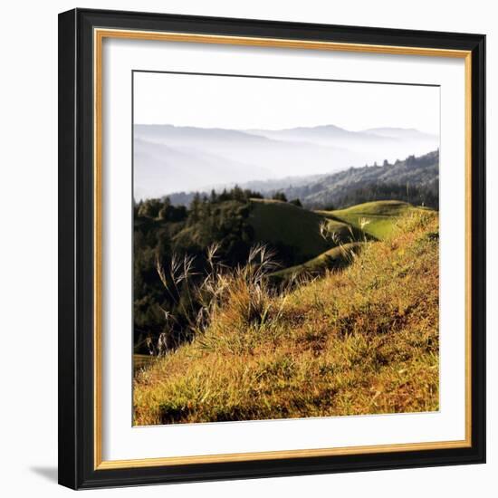 Hilltop Vista-Lance Kuehne-Framed Photographic Print