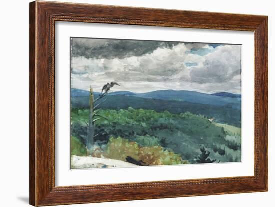 Hilly Landscape, 1894-Winslow Homer-Framed Giclee Print