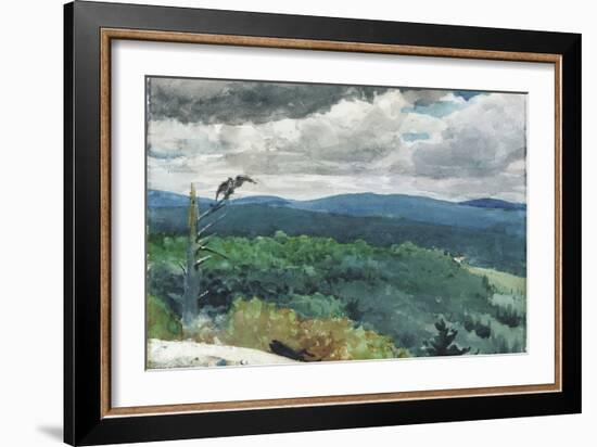 Hilly Landscape, 1894-Winslow Homer-Framed Giclee Print