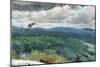 Hilly Landscape, 1894-Winslow Homer-Mounted Giclee Print