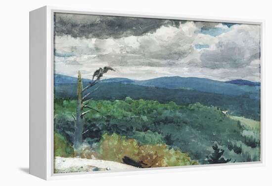 Hilly Landscape, 1894-Winslow Homer-Framed Premier Image Canvas