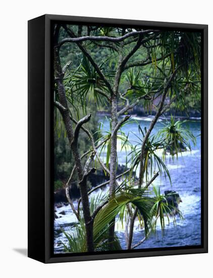 Hilo, Big Island, Hawaii-Jerry Ginsberg-Framed Premier Image Canvas