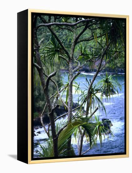 Hilo, Big Island, Hawaii-Jerry Ginsberg-Framed Premier Image Canvas