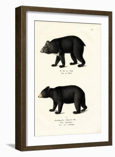 Himalayan Black Bear, 1824-Karl Joseph Brodtmann-Framed Giclee Print