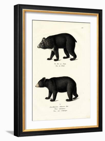 Himalayan Black Bear, 1824-Karl Joseph Brodtmann-Framed Giclee Print