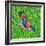 Himalayan Cutia Bird, 2023 (Oil on Canvas)-Jane Tattersfield-Framed Giclee Print