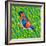 Himalayan Cutia Bird, 2023 (Oil on Canvas)-Jane Tattersfield-Framed Giclee Print