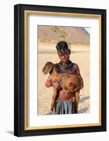 Himba Girl With Traditional Double Plait Hairstyle, Carrying A Goat-Eric Baccega-Framed Photographic Print