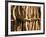 Himba Tribe Hut, Skeleton Coast, Namibia-Michele Westmorland-Framed Photographic Print