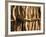 Himba Tribe Hut, Skeleton Coast, Namibia-Michele Westmorland-Framed Photographic Print