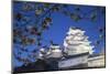 Himeji Castle, at Dusk, Himeji, Kansai, Honshu, Japan-Ian Trower-Mounted Photographic Print
