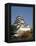 Himeji Castle, Himeji, Japan-null-Framed Premier Image Canvas