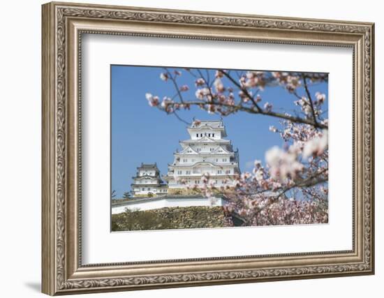 Himeji Castle, Himeji, Kansai, Honshu, Japan-Ian Trower-Framed Photographic Print