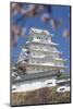 Himeji Castle, Himeji, Kansai, Honshu, Japan-Ian Trower-Mounted Photographic Print