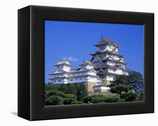 Himeji Castle, Honshu, Japan-Steve Vidler-Framed Premier Image Canvas